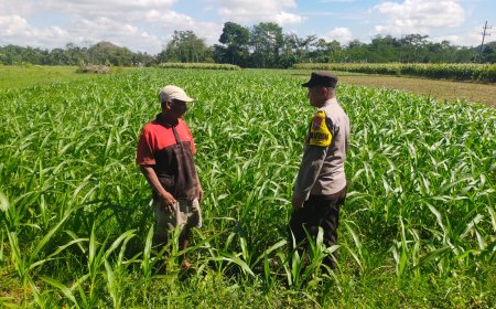 Polres Malang Perkuat Sinergi Ketahanan Pangan dari Pekarangan hingga Lahan Produktif