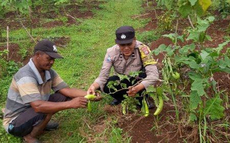 Polres Malang Tingkatkan Pendampingan Program Ketahanan Pangan di Wilayah Pedesaan