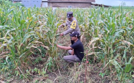 Polres Malang Galakkan Pemanfaatan Sumber Daya Lokal untuk Perkuat Ketahanan Pangan