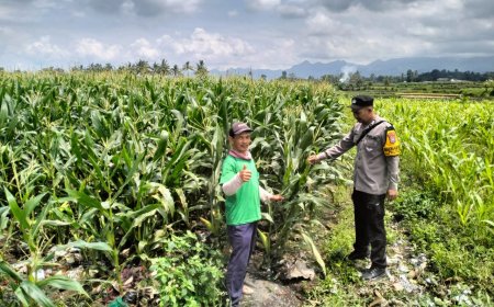 Polres Malang Masifkan Dukungan Ketahanan Pangan Lewat Pemanfaatan Lahan Produktif