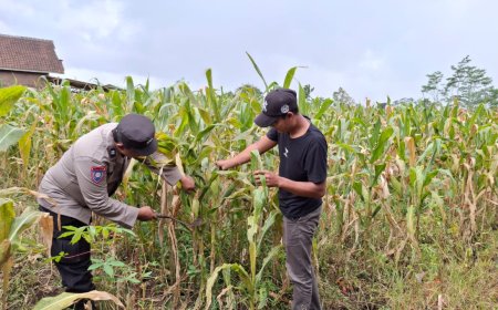 Polres Malang Perkuat Ekosistem Ketahanan Pangan Lewat Pendampingan Berkelanjutan