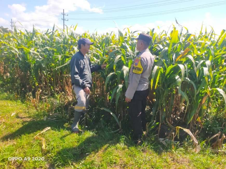 Polres Malang Perkuat Sinergi Ketahanan Pangan Lewat Pendampingan Bhabinkamtibmas