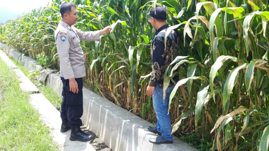Polres Malang Perkuat Sinergi Warga untuk Mewujudkan Ketahanan Pangan yang Mandiri