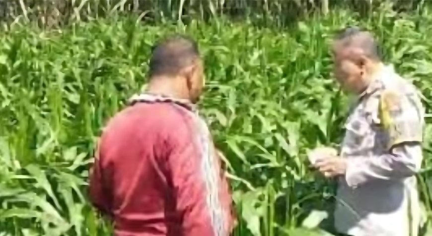Polres Malang Perkokoh Gerakan Ketahanan Pangan Berbasis Potensi Lokal