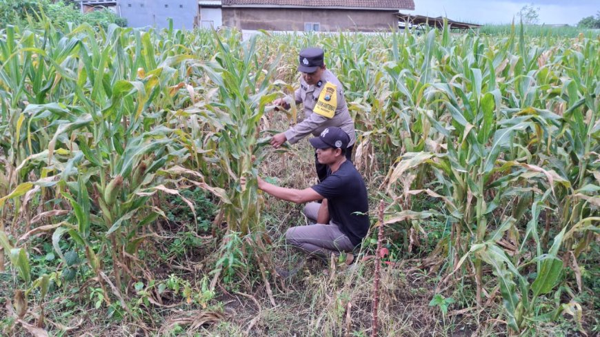 Polres Malang Galakkan Pemanfaatan Sumber Daya Lokal untuk Perkuat Ketahanan Pangan