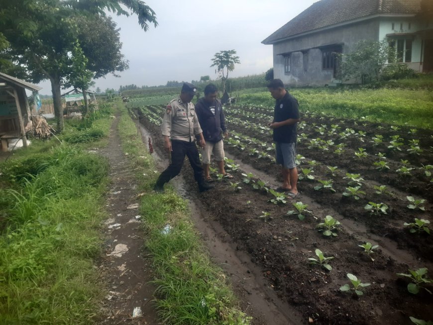 Polres Malang Perkuat Ketahanan Pangan dengan Mendorong Inovasi Pemanfaatan Lahan Produktif