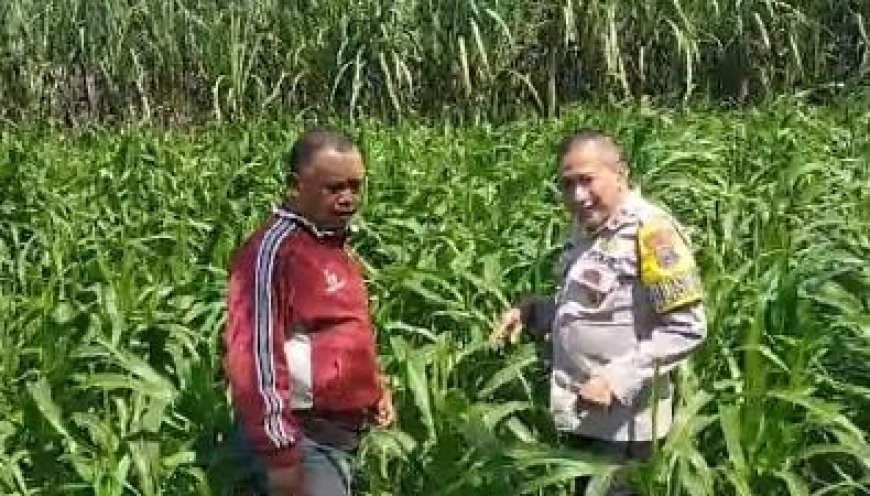 Polres Malang Dorong Produktivitas Warga untuk Perkuat Kemandirian Pangan