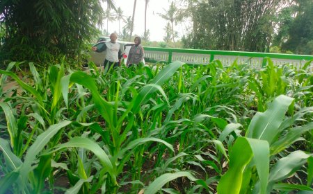 Polres Malang Dorong Pertanian Berkelanjutan Lewat Pendampingan Warga