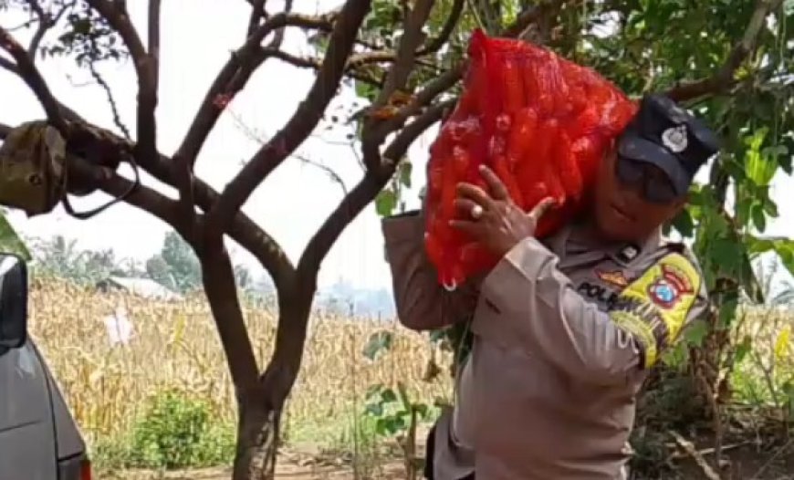 Bahu-Membahu di Ladang Jagung, Jajaran Polresta Malang Kota Bersama Warga Wujudkan Ketahanan Pangan